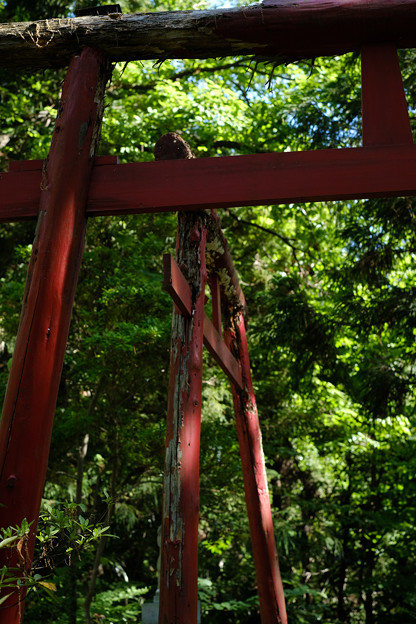 Photos: 上之台稲荷神社-7906
