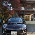 ミニクーパーと紅葉
