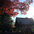 Photos: 小川寺_紅葉-4483