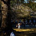 Photos: 広徳寺_黄葉-8664