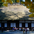 Photos: 広徳寺_黄葉-8667