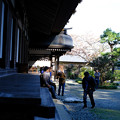 Photos: 広徳寺_休憩-8670