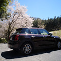 sakura_minicooper-8883