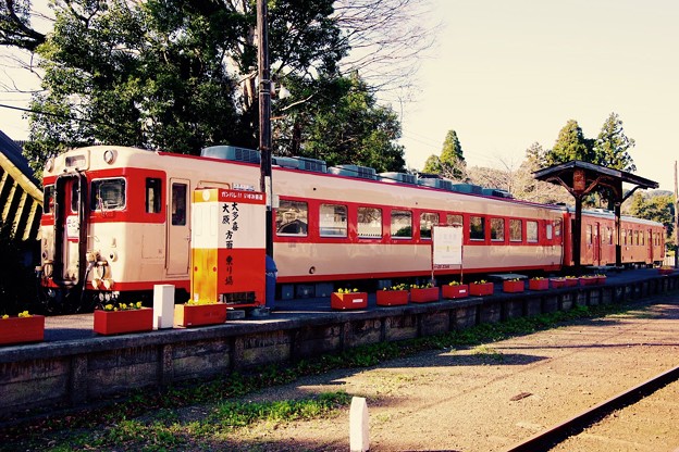 いすみ鉄道 上総中野駅で出発を待つキハ28とキハ52。。20151220