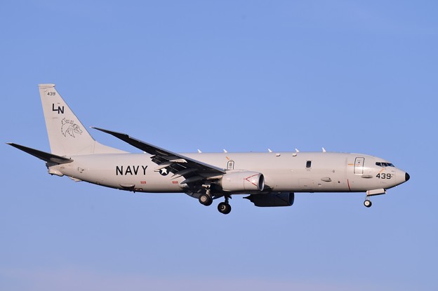 ある日の厚木基地・・嘉手納から飛来 米海軍P-8ポセイドン R/W19ローパスアプローチ 真横から 20150328