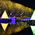 昭和記念公園イルミネーション 鏡のような水面映る電飾 20171223