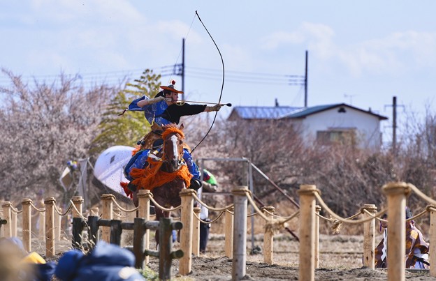 曽我梅林の即席流鏑馬会場 1回戦 2 写真共有サイト フォト蔵