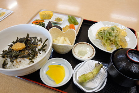 わさび丼定食(道の駅・犬挟【鳥取】)