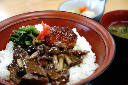 馬か丼(道の駅・花の里いいじま【長野】)