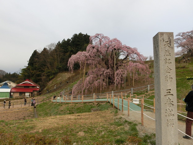 CIMG0399