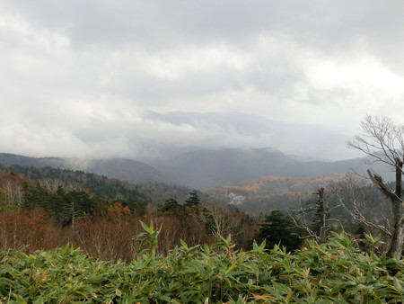 CIMG0693