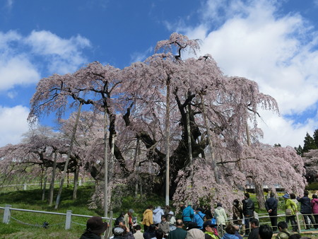 CIMG0718