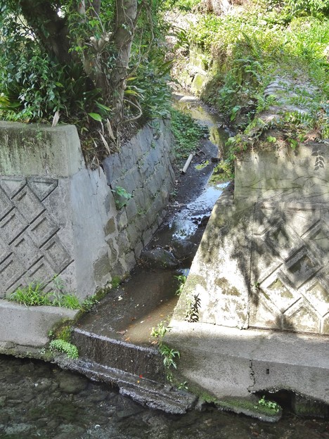 園内へ続く水路 ＠藻器堀川2016-04-22
