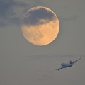 MOON &amp; CYGNUS