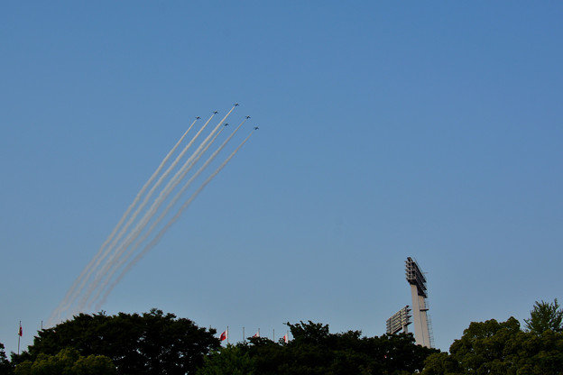Photos: 2014年