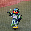 つばみちゃん