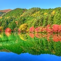 鏡面の秋景色・・・南伊奈ケ湖