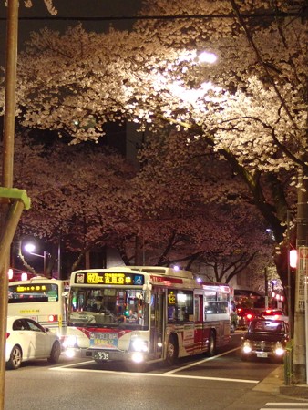 中野通りを走る関東バス IMGP2587