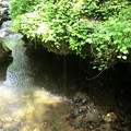 雨垂れの滝