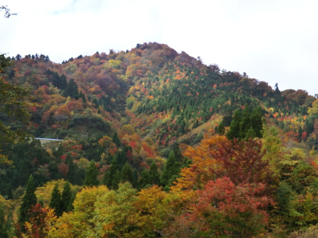 林道 若桜江府線の紅葉