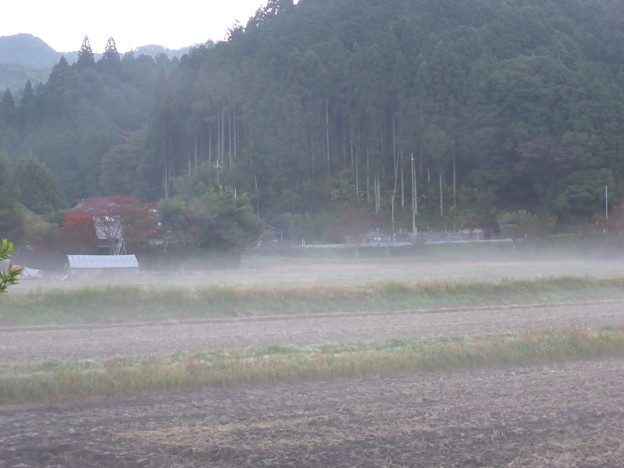 湯気が立ち上る畑