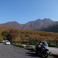 大山の紅葉