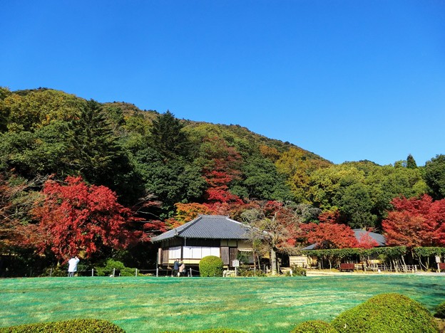 龍野公園 紅葉谷・聚遠亭