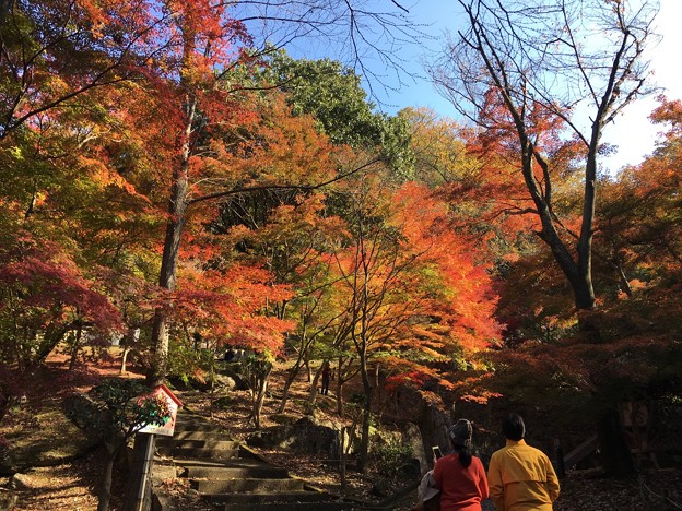 たつの市　東山公園