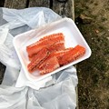 サーモンのアラを炭焼き