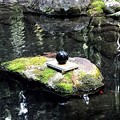 青玉さん