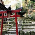 Photos: 熊野神社
