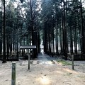 青玉神社　参道