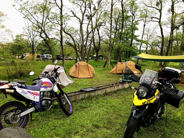 墓ノ木自然公園キャンプ場