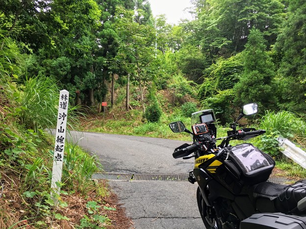 林道　沖ノ山線　起点