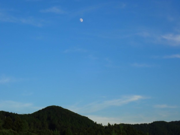 夏の黄昏時