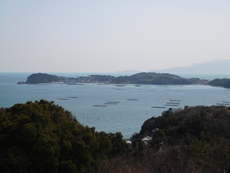 DSCN3297