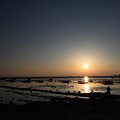 夕景を撮る女(ひと)