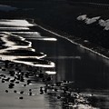 氷　　　紋