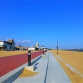 Photos: 海でお散歩