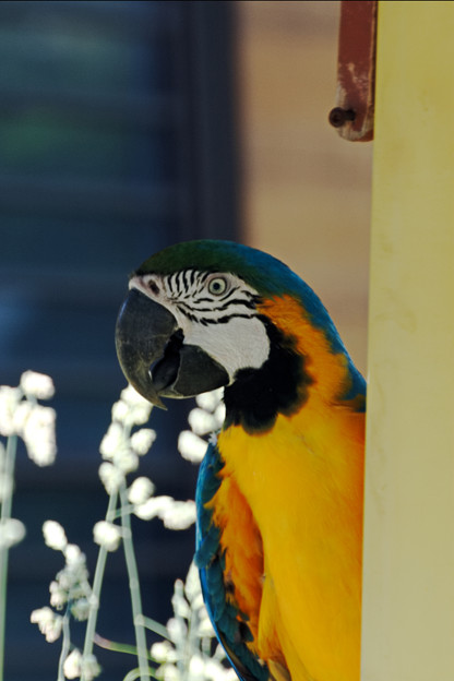 多摩動物園233