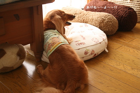 東矢5