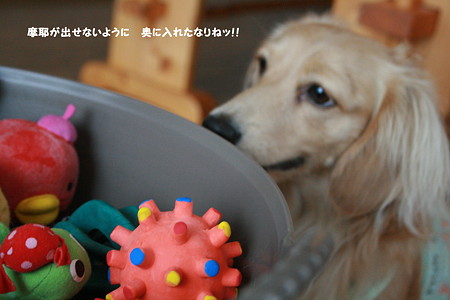 おもちゃ箱5