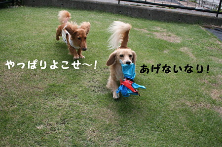 だっこちゃん 7