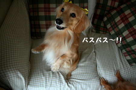 おNEW おもちゃ♪