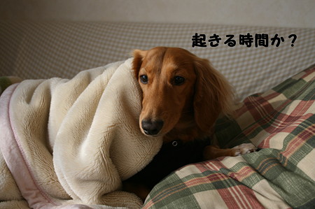 寝起き 1