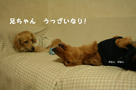 東矢くんと摩耶さん1