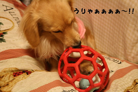 摩耶さん 6
