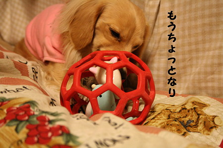 摩耶さん 5