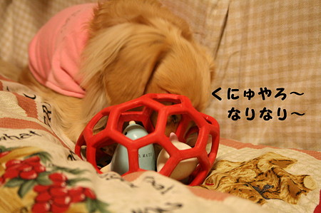 摩耶さん 3