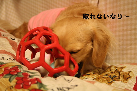 摩耶さん 2